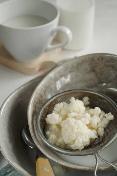 Milk kefir grains in a plate with a bottle and a cup of kefir on white table, selective focus, close up. Kefir is a fermented milk drink, grains is a combination of bacteria and yeast.