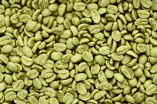 Green coffee beans background. Texture top view.