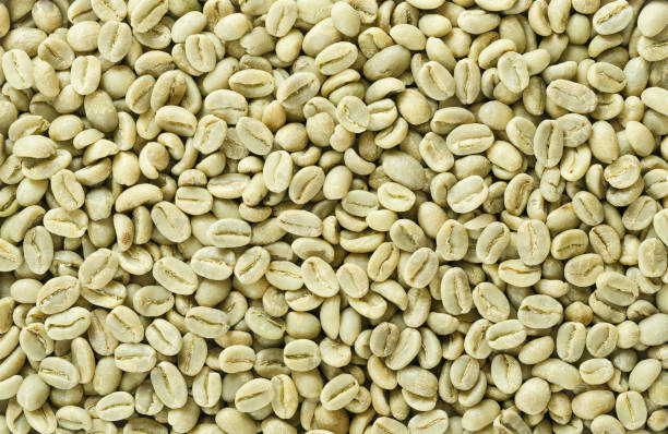 Unroasted green Arabica coffee beans flat surface. Backgrounds. Closeup macro food photo directly from above.