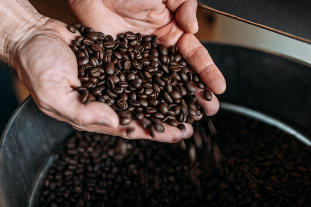 Coffee beans are controlled by hand