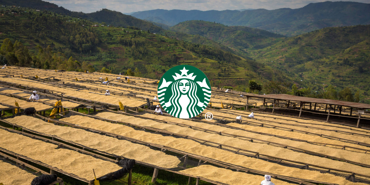 Where Does Starbucks Really Get Their Coffee From?