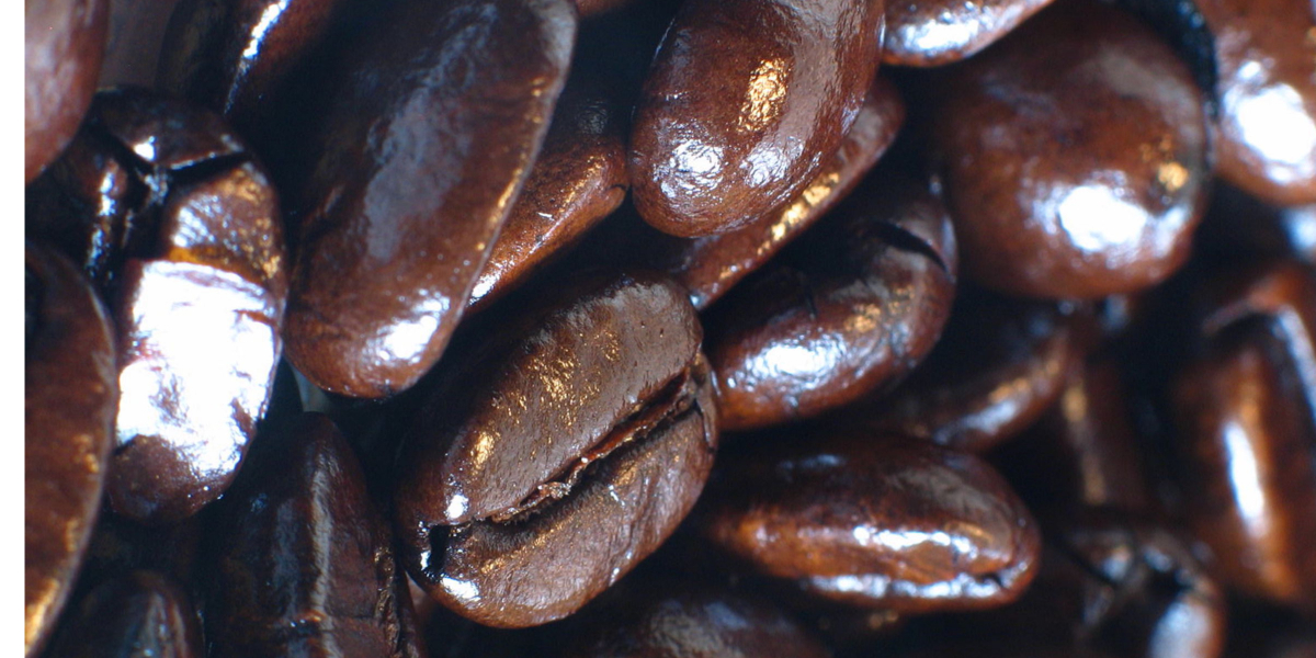Coffee Torrefaction: An In-Depth Guide to Glazed Coffee